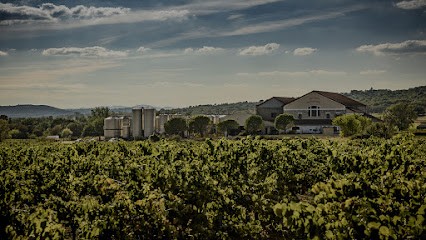 Les vignerons de Saint-Dézéry, Caviste à Saint-Dézéry
