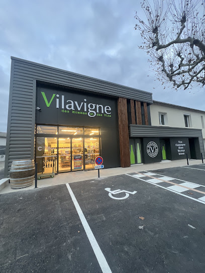 Vilavigne Avignon, Caviste à Avignon