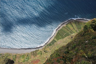 Black Pinot, Caviste à Larmor-Plage