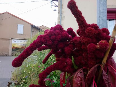 Vignessoule Marc, Caviste à Saint-Affrique