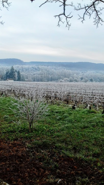 Domaine Philippe Garrey, Caviste à Saint-Martin-sous-Montaigu