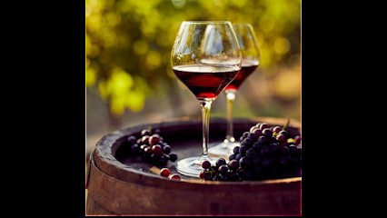 LA CAVE DES GAULOIS, Caviste à Revel