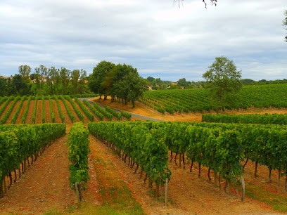 Château Bois des Graves, Caviste à Saint-Ciers-de-Canesse