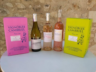 A la Croisée des Vignes, Caviste à Souillac