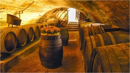 Les vins français, Caviste à Villeneuve-de-Rivière