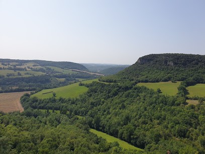 Brasserie L'Arsouille, Caviste à Busque