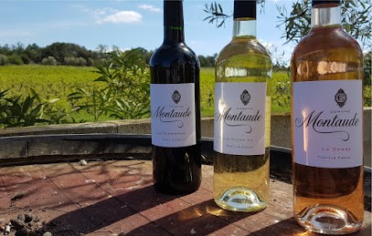 Domaine Montaude, Caviste à Roquecourbe-Minervois