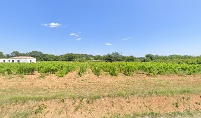 Domaine Saint-Jean Lalanne, Caviste à Lunel-Viel