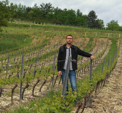 Dubreuil Gerald Sarl, Caviste à Poncin