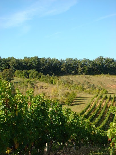 Domaine De Lacoste, Caviste au Montat