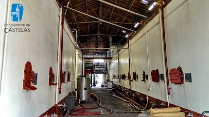 Les Vignerons Du Castelas, Caviste à Rochefort-du-Gard