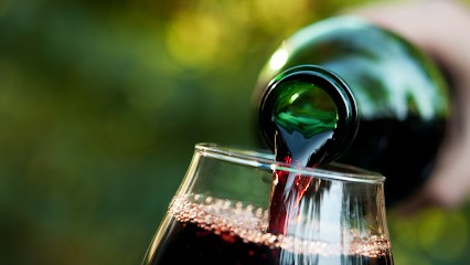 EARL LES GALETS - Domaine Les Aphillanthes, Caviste à Travaillan