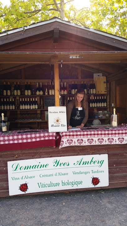 Domaine Yves Amberg - Viticulteur Biologique Caviste à Epfig