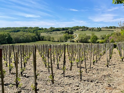 Voyage en Cépage, Caviste à Sablé-sur-Sarthe