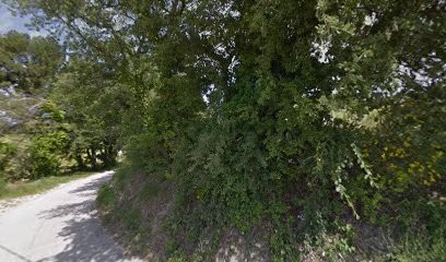 Domaine De L'Échevin, Caviste à Visan