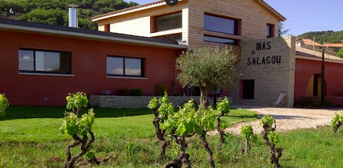 Mas Du Salagou, Caviste à Octon