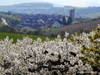 Burgundywine.com Caviste à Saint-Sernin-du-Plain