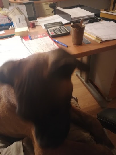 Plantevigne-Dubosquet, Caviste à Nieul-lès-Saintes