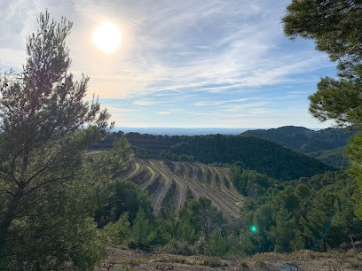 Domaine Des Garances, Caviste à Suzette
