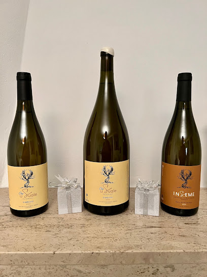 Clos U Suale Caviste à Patrimonio