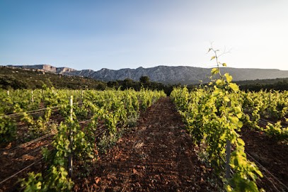 Domaine Richeaume Provence Montagne Sainte Victoire, Caviste à Puyloubier