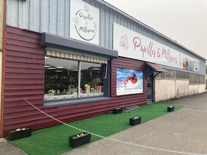 Papilles et Millésimes, Caviste à Saint-Sulpice-le-Dunois