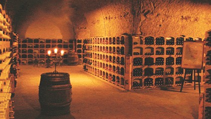 VinoTerra, Caviste à Verdun-sur-Garonne