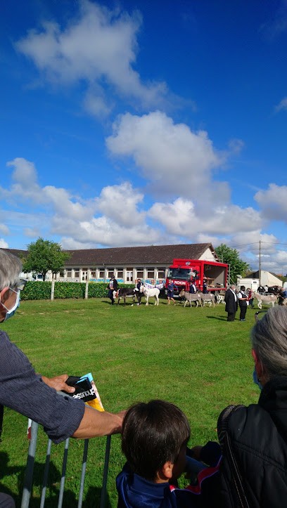 A LA BONNE CAVE, Caviste à Lignières