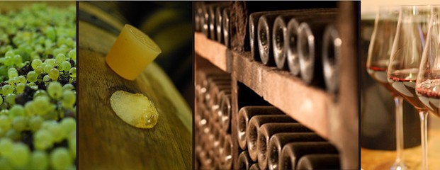 Terroirs & Co, Caviste à Verzé