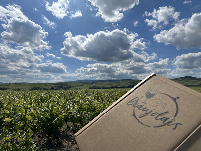 La Boîte À Beaujolais Caviste à Belleville-en-Beaujolais