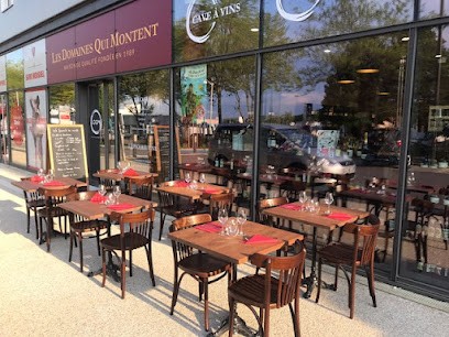 Les Domaines Qui Montent Laxou, Caviste à Laxou