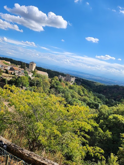 Aux Trésors D'Oc, Caviste à Saissac