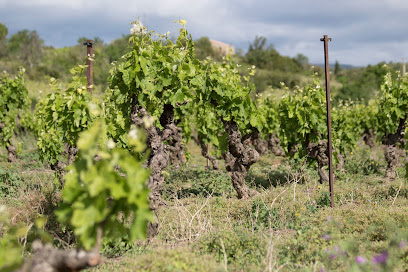Vignobles Perrain, Caviste à Saint-Jean-de-Barrou