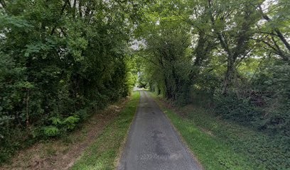 New WORLD CONCEPT, Caviste à Peujard