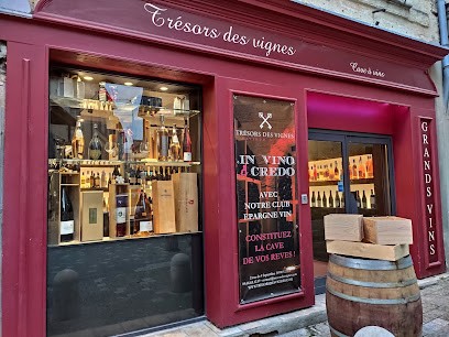 Trésors Des Vignes, Caviste à Uzès