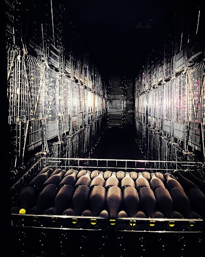 Les dégustations de Tramber la Conciergerie du Champagne, Caviste au Mesnil-sur-Oger