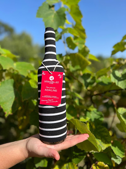 Déshabillez-Moi, Dégustation De Vin À L'aveugle, Dmvin, Caviste à Montaigu-Vendée