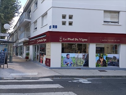 Le Pied de Vigne, Caviste à Saintes