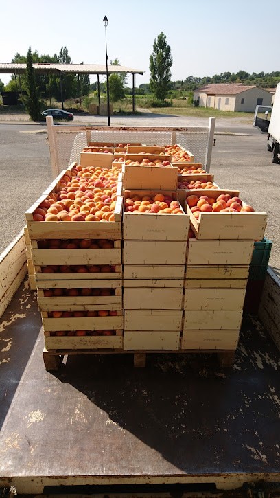 VAL DE NESQUE, Caviste à Malemort-du-Comtat
