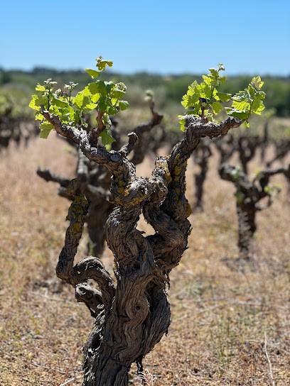 Colidoc, Caviste à Portiragnes