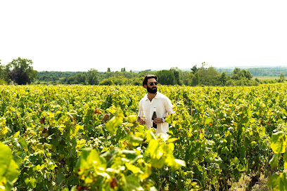 Mswines, Caviste à Mont-près-Chambord
