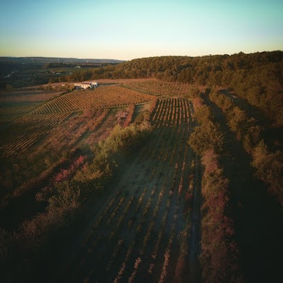 Domaine Nigoulin, Caviste à Saint-Marcel-d'Ardèche