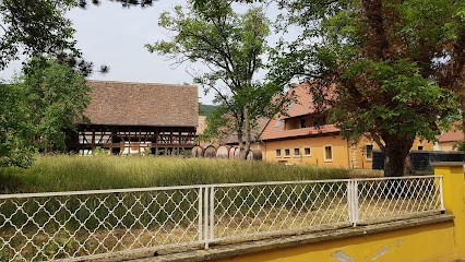 Cave Moltes Antoine Et Fils, Caviste à Pfaffenheim