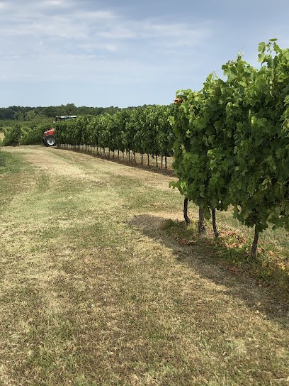 La Closerie D'Elle, Caviste à Margueron