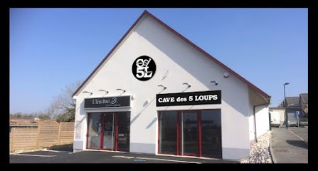 CAVE Des 5 LOUPS - Location POMPE à BIERE, Caviste à Samer