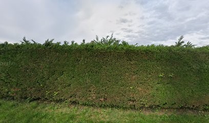 Domaine De Lions Winery, Caviste à Thézac